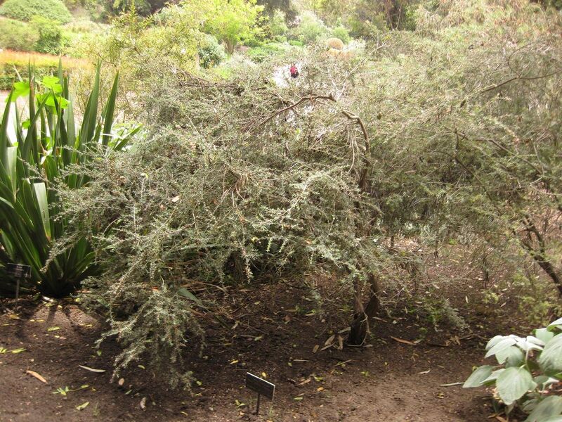 File:1280px-IMG 7270 hunt09jun.jpg