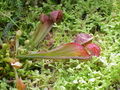 Thumbnail for version as of 09:12, 29 April 2025