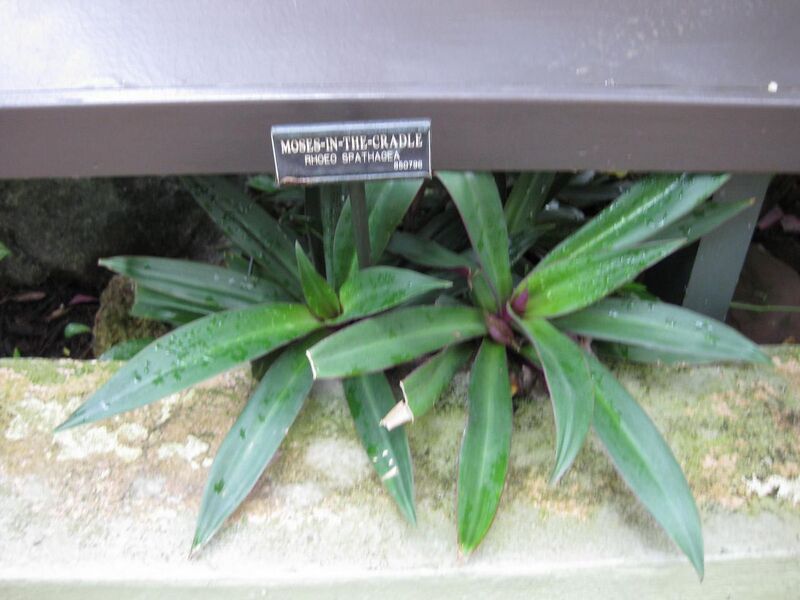 File:1280px-IMG 0943 bbg09.jpg