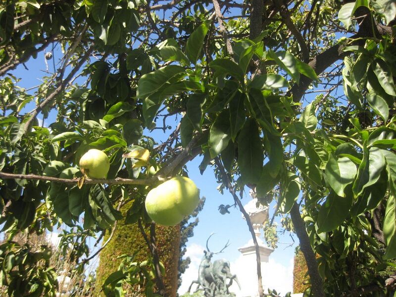 File:1280px-IMG 1990 hunt0903.jpg