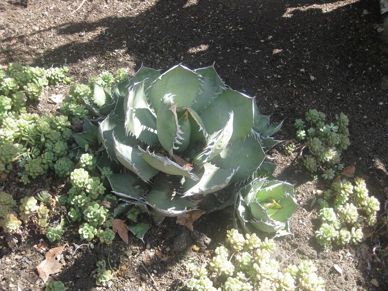 File:1280px-IMG 2215 hunt0903.jpg