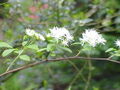 Thumbnail for version as of 09:13, 29 April 2025
