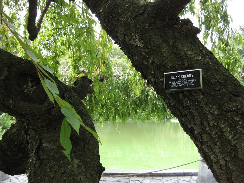 File:1024px-IMG 0652 bbg09.jpg