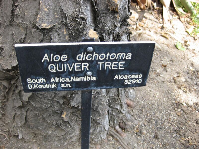 File:1280px-IMG 4323 hunt0904.jpg