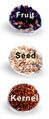 Thumbnail for version as of 07:44, 16 October 2007