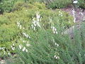 Thumbnail for version as of 12:58, 29 November 2007