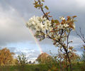Thumbnail for version as of 15:48, 12 September 2007