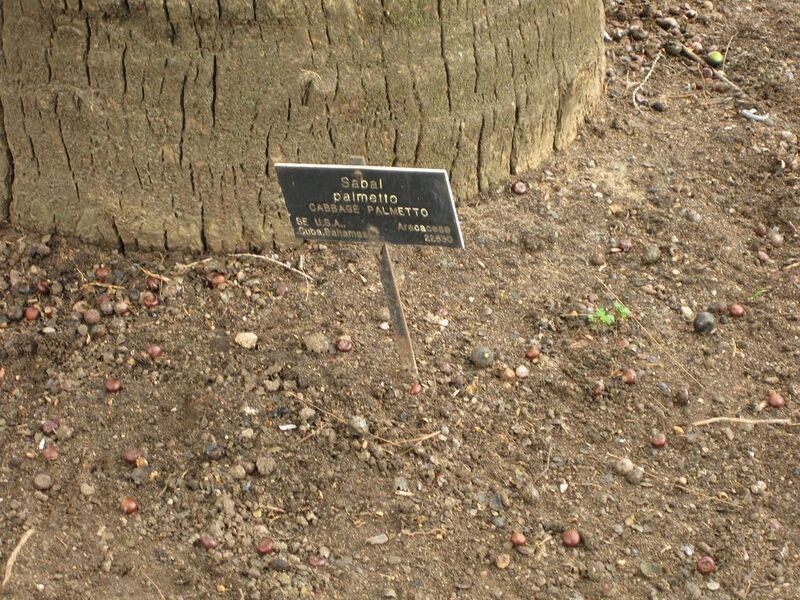 File:1024px-IMG 3970 hunt0904.jpg