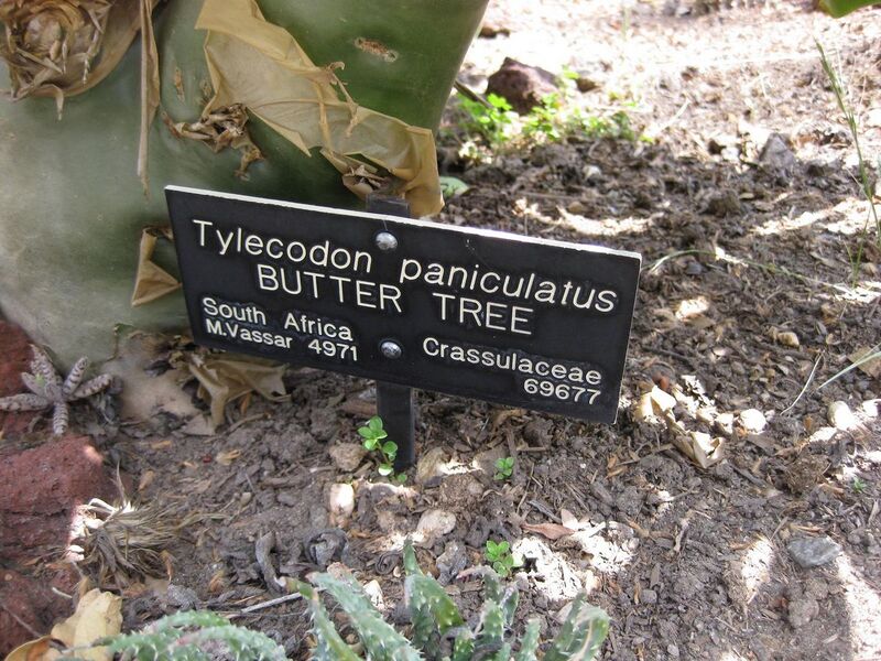 File:1280px-IMG 4305 hunt0904.jpg