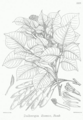 Thumbnail for version as of 10:05, 29 April 2025