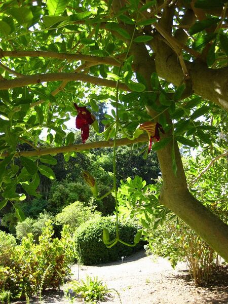 File:576px-IMG 2072 hunt09oct.jpg