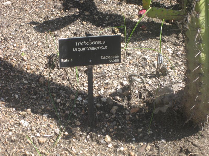 File:IMG 2291 hunt0903.jpg