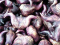 Thumbnail for version as of 09:11, 29 April 2025