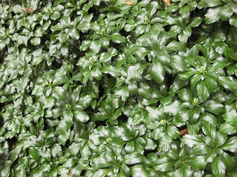 File:1280px-IMG 1410 bbg09.jpg