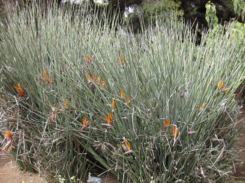 File:1280px-IMG 5079 hunt0904.jpg