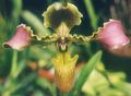 Thumbnail for version as of 10:27, 22 July 2007
