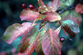 Thumbnail for version as of 15:44, 17 September 2007