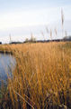 Thumbnail for version as of 09:11, 29 April 2025