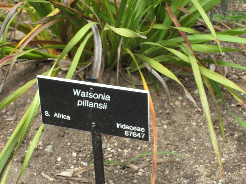 File:1280px-IMG 4900 hunt0904.jpg