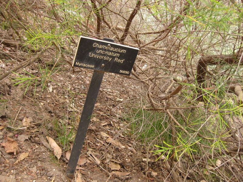 File:1280px-IMG 7138 hunt09jun.jpg