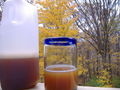 Thumbnail for version as of 04:17, 20 September 2007
