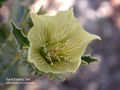 Thumbnail for version as of 20:56, 9 October 2008