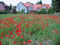 Thumbnail for version as of 09:55, 29 April 2025