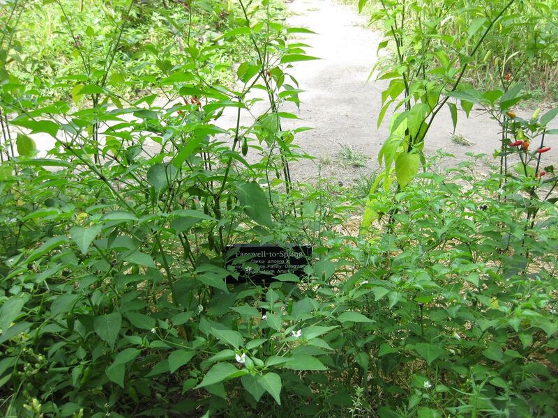 File:1280px-IMG 0632 bbg09.jpg