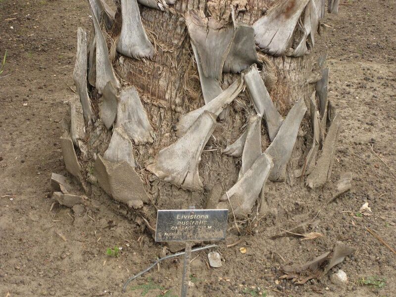 File:1280px-IMG 3898 hunt0904.jpg