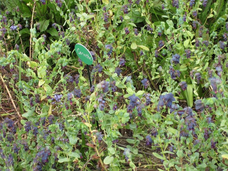 File:1280px-IMG 5193 hunt0904.jpg