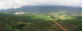 Coffee Plantation in São João do Manhuaçu City - Minas Gerais State - Brazil
