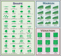 Thumbnail for version as of 04:49, 27 May 2007