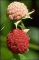 Thumbnail for version as of 20:38, 6 October 2007