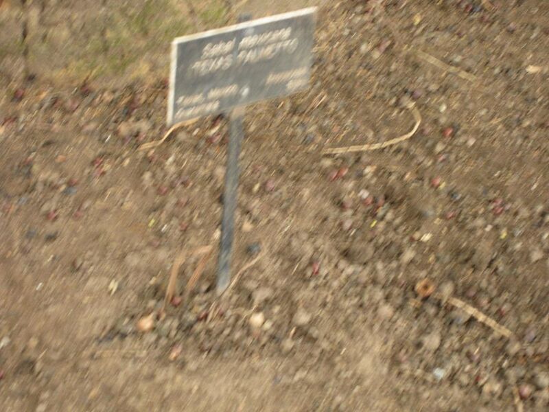File:1024px-IMG 3973 hunt0904.jpg