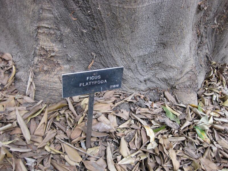 File:1280px-IMG 4966 hunt0904.jpg