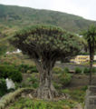 Thumbnail for version as of 10:07, 6 August 2007
