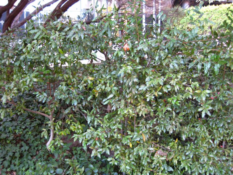 File:Rcjzzdpgaphmv5z5jrlqrgt196mxxvh.jpg