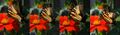 Thumbnail for version as of 09:53, 29 April 2025