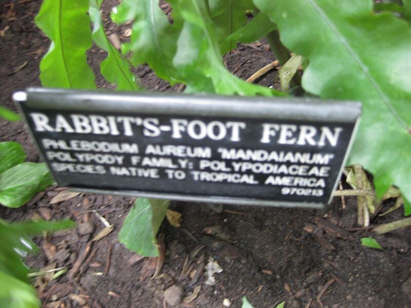 File:1280px-IMG 1064 bbg09.jpg