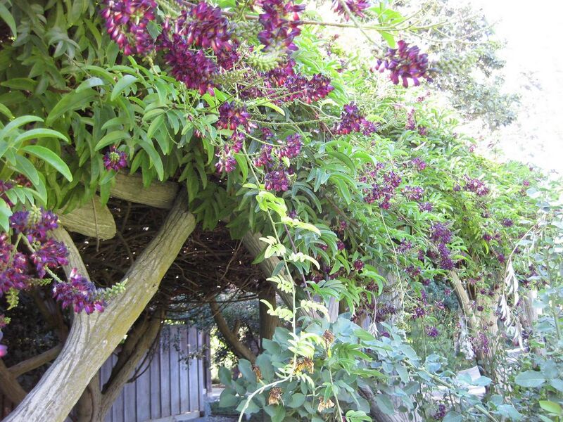 File:1280px-IMG 1872 hunt09oct.jpg