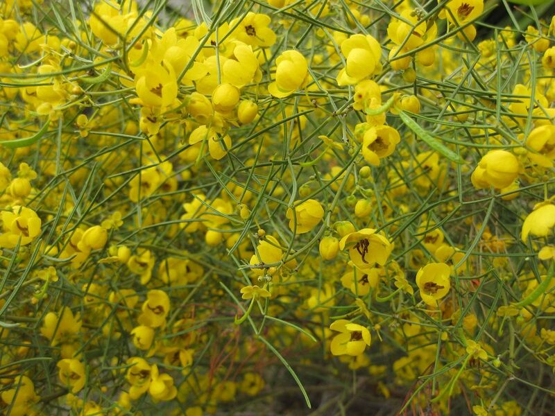 File:1280px-IMG 4663 hunt0904.jpg