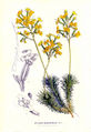 Thumbnail for version as of 16:02, 1 March 2009