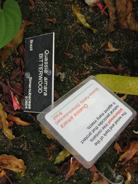 File:576px-IMG 7529 hunt09jun.jpg