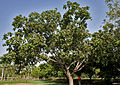 in Hyderabad, India.