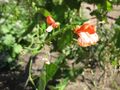 Thumbnail for version as of 10:24, 29 April 2025