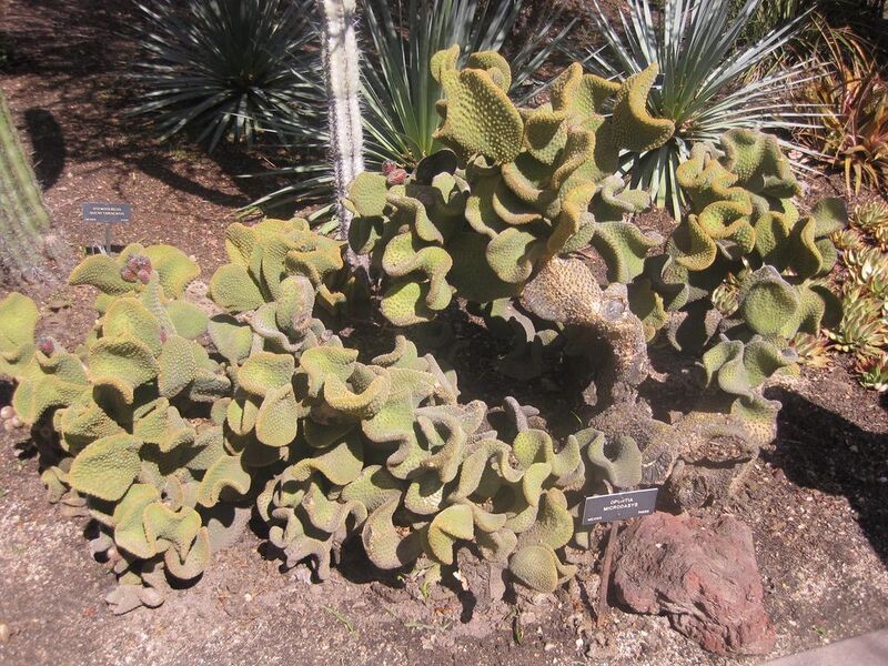 File:1024px-IMG 2241 hunt0903.jpg