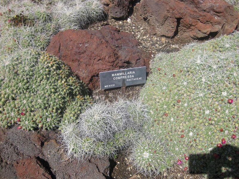 File:1280px-IMG 2254 hunt0903.jpg