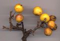 Crabapple fruit are mostly red, but some, such as this cultivar 'Golden Hornet', are yellow.