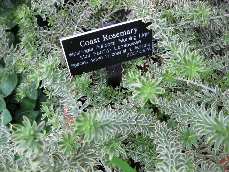 File:1280px-IMG 1216 bbg09.jpg