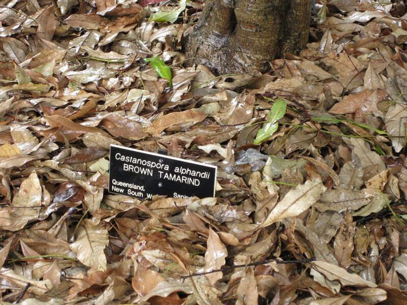 File:1280px-IMG 4795 hunt0904.jpg